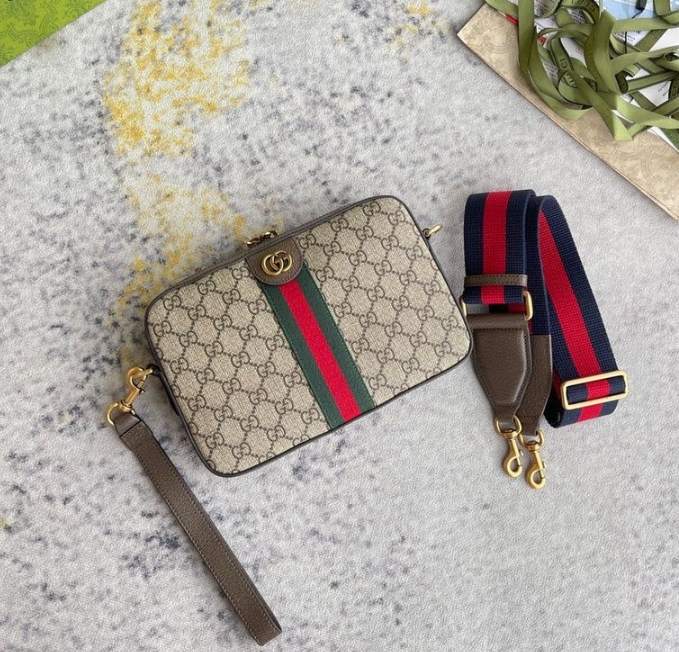 Gucci Ophidia GG canvas